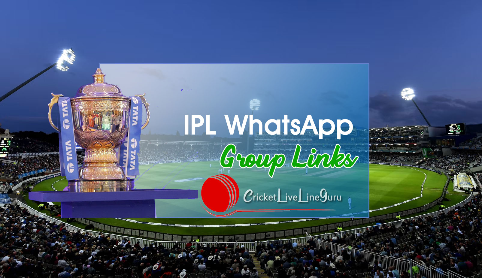 IPL betting whatsapp group with Wolf777